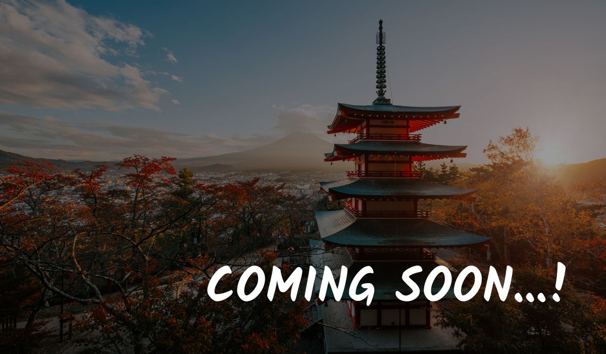 Image hover effect image
