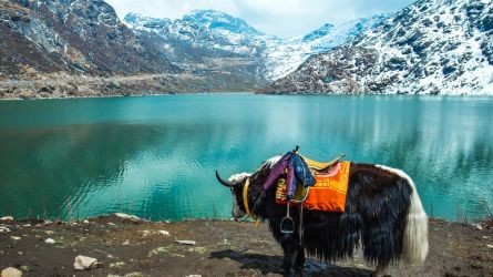 Sikkim and Kalimpong (2)