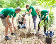 Volunteers working together to plant trees and restore nature