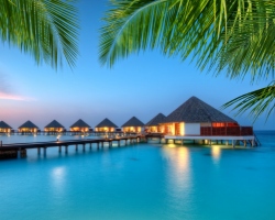 A dreamy image of luxurious overwater villas surrounded by turquoise waters and lush palm trees, evoking tropical bliss.